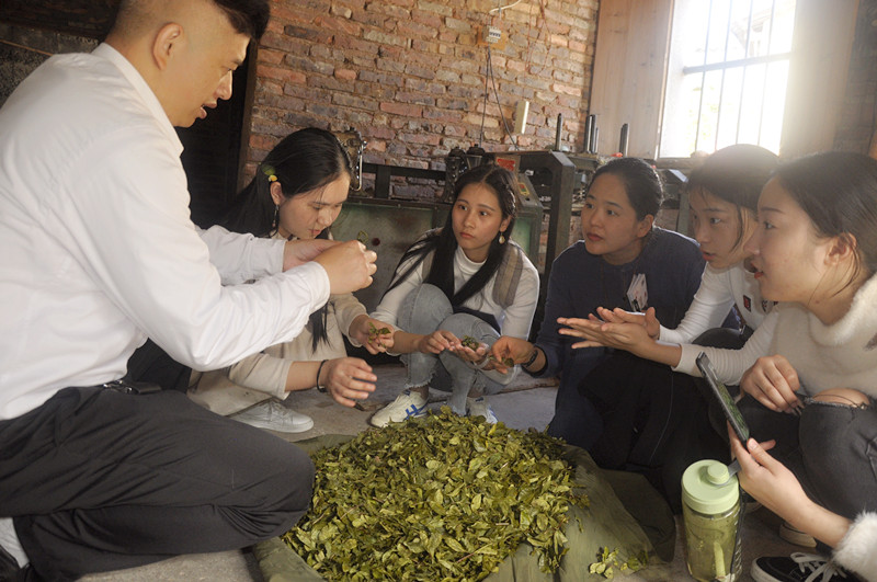 暑假茶道培训去哪学好?