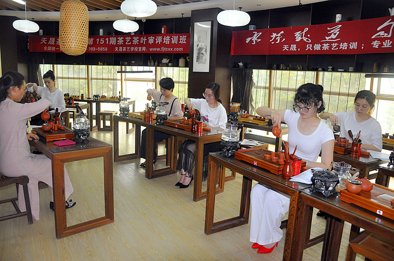 6月茶艺师培训班去哪学好? 2025年